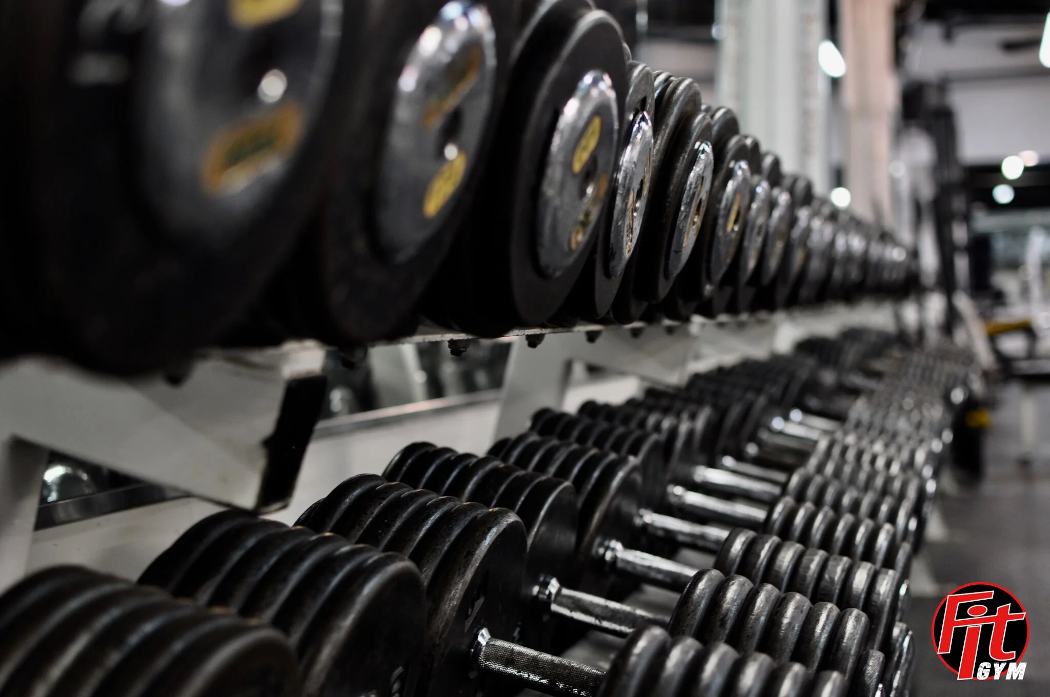 Fit Gym Philly Fit Gym Philly