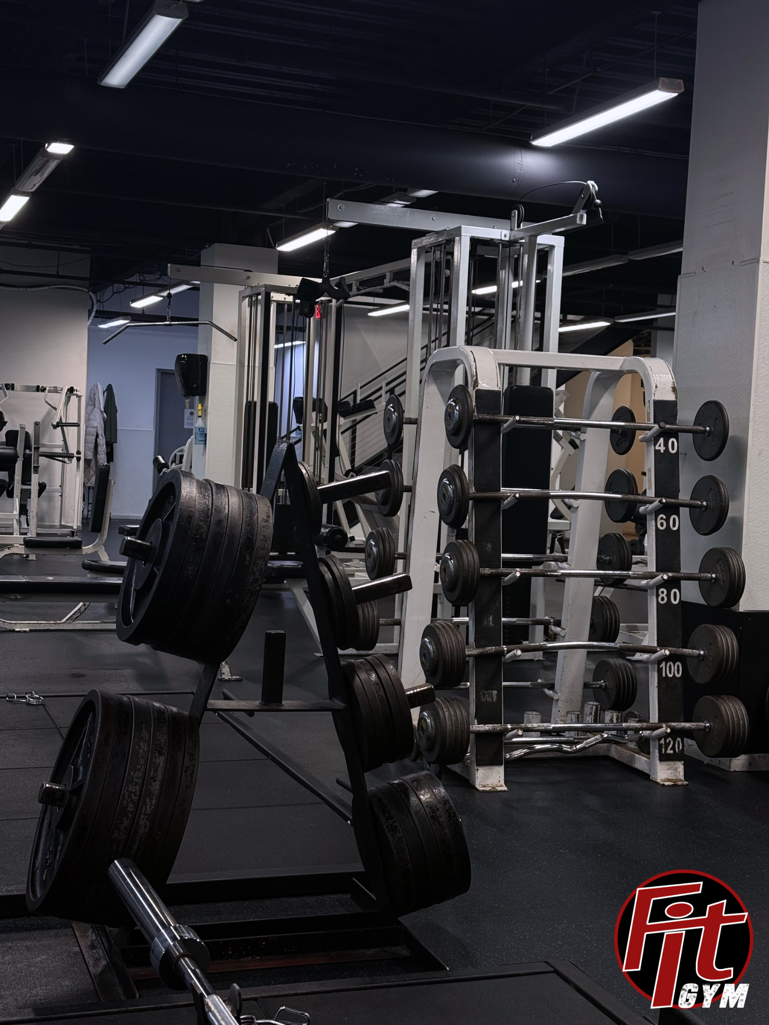 Untitled design-2.png