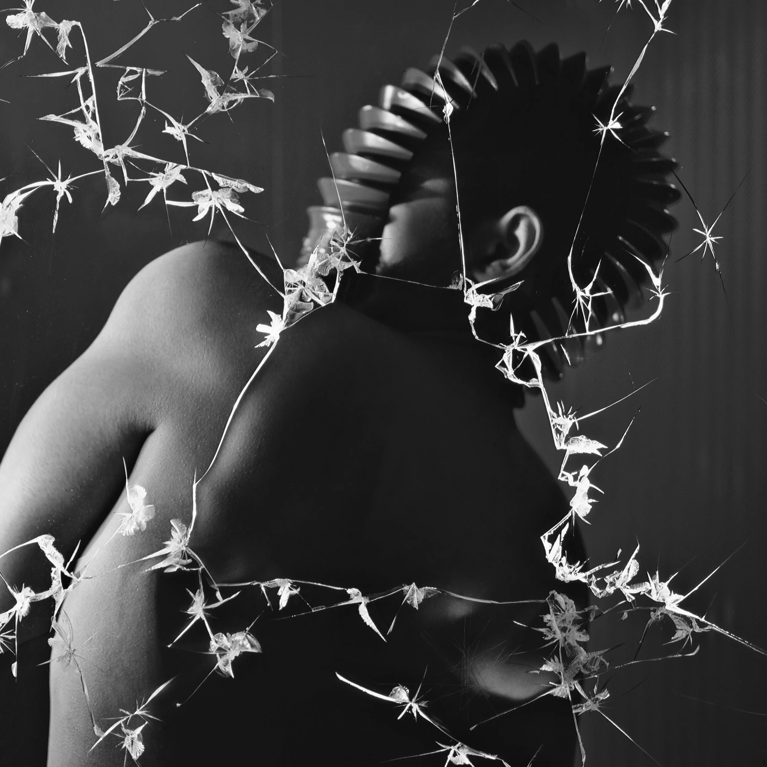 2014_splintered.jpg