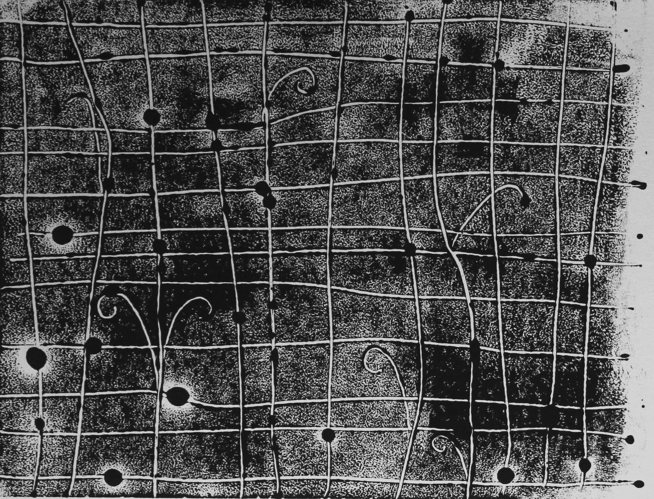Image: Young Ferns on Grid, ink monotype on paper, 2017 / Izgara Üzerinde Eğreltiotları, kağıt üzerine mürekkep monotip, 2017