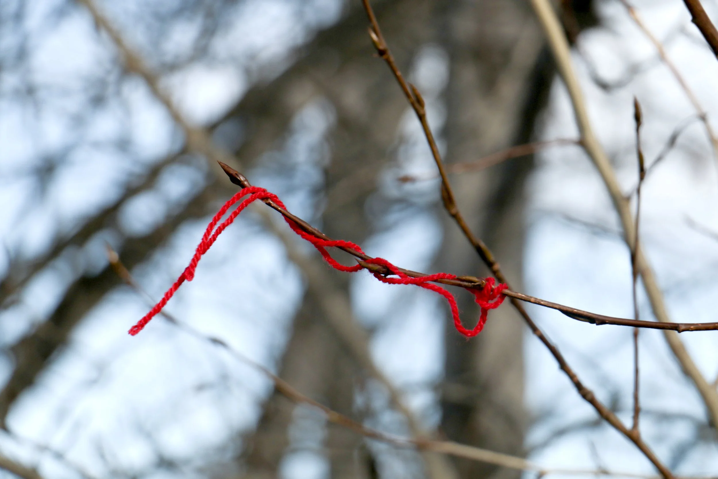 red string.jpeg