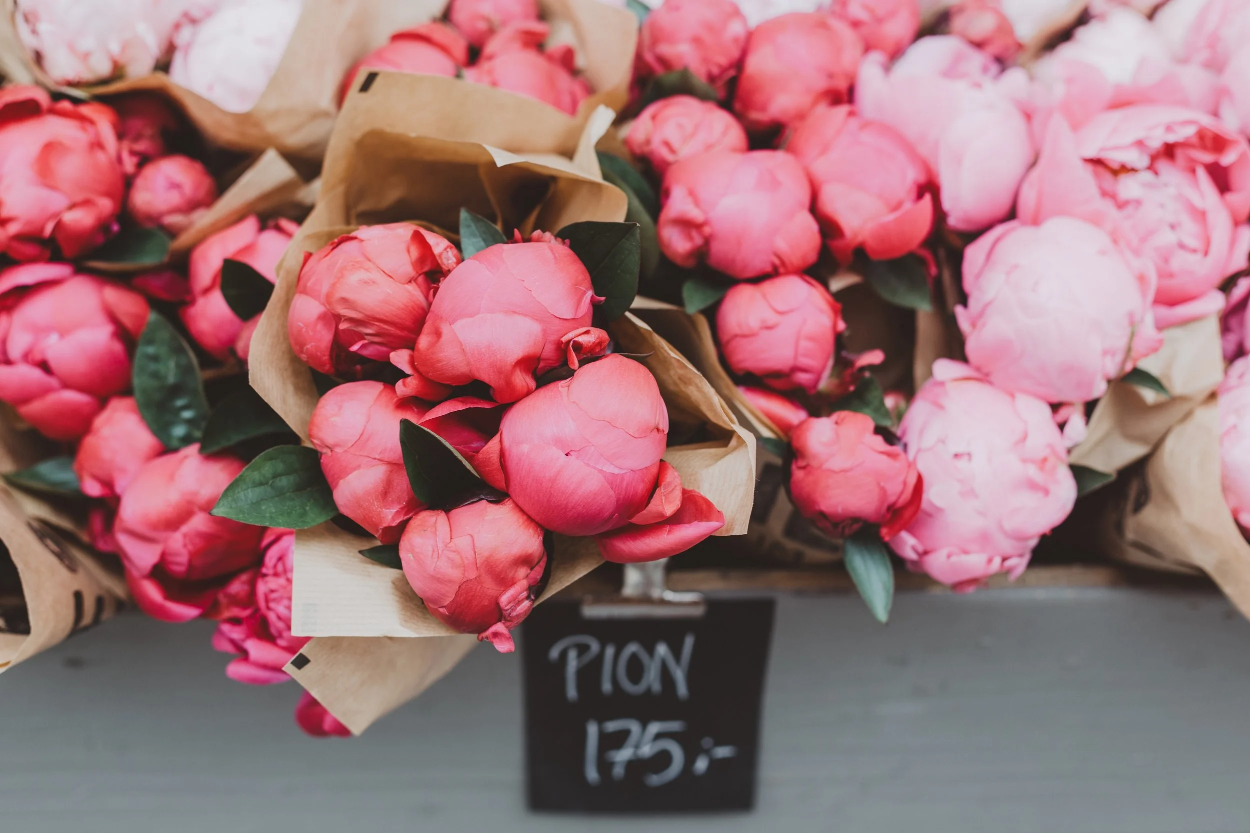 ellieelien-wVAW7_DmE3A-unsplash.jpg