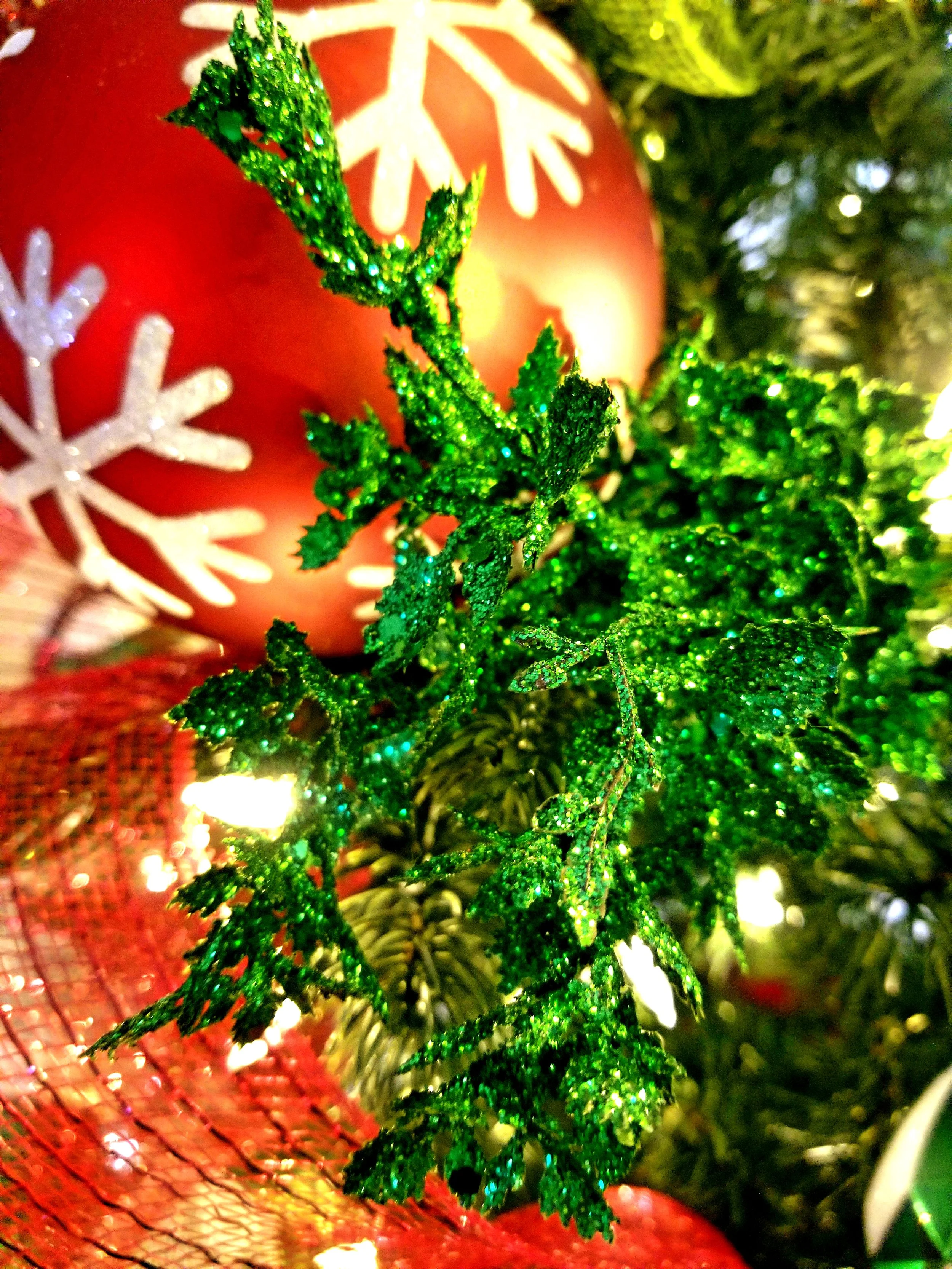 20171202_131225.jpg