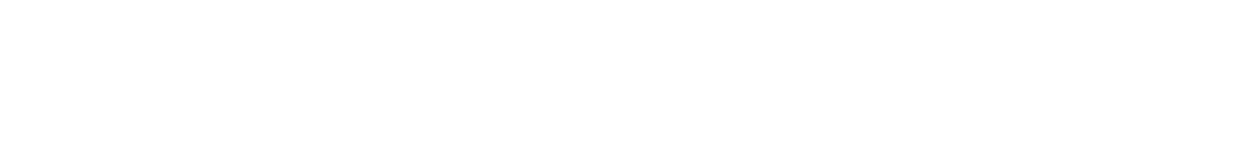 Logo Transparent white text.png