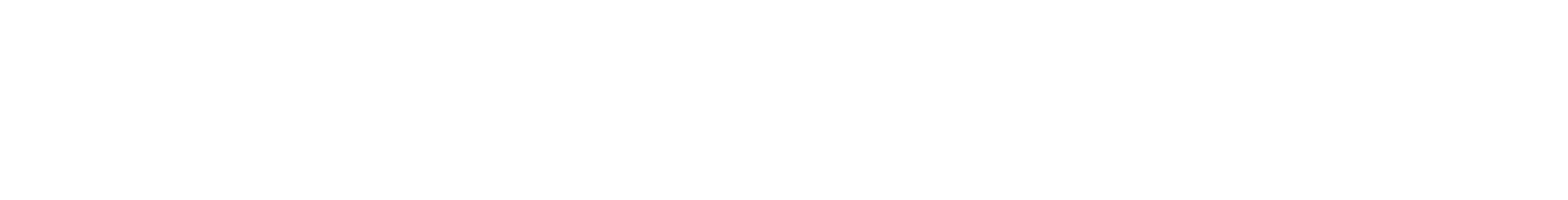Logo Transparent white text.png
