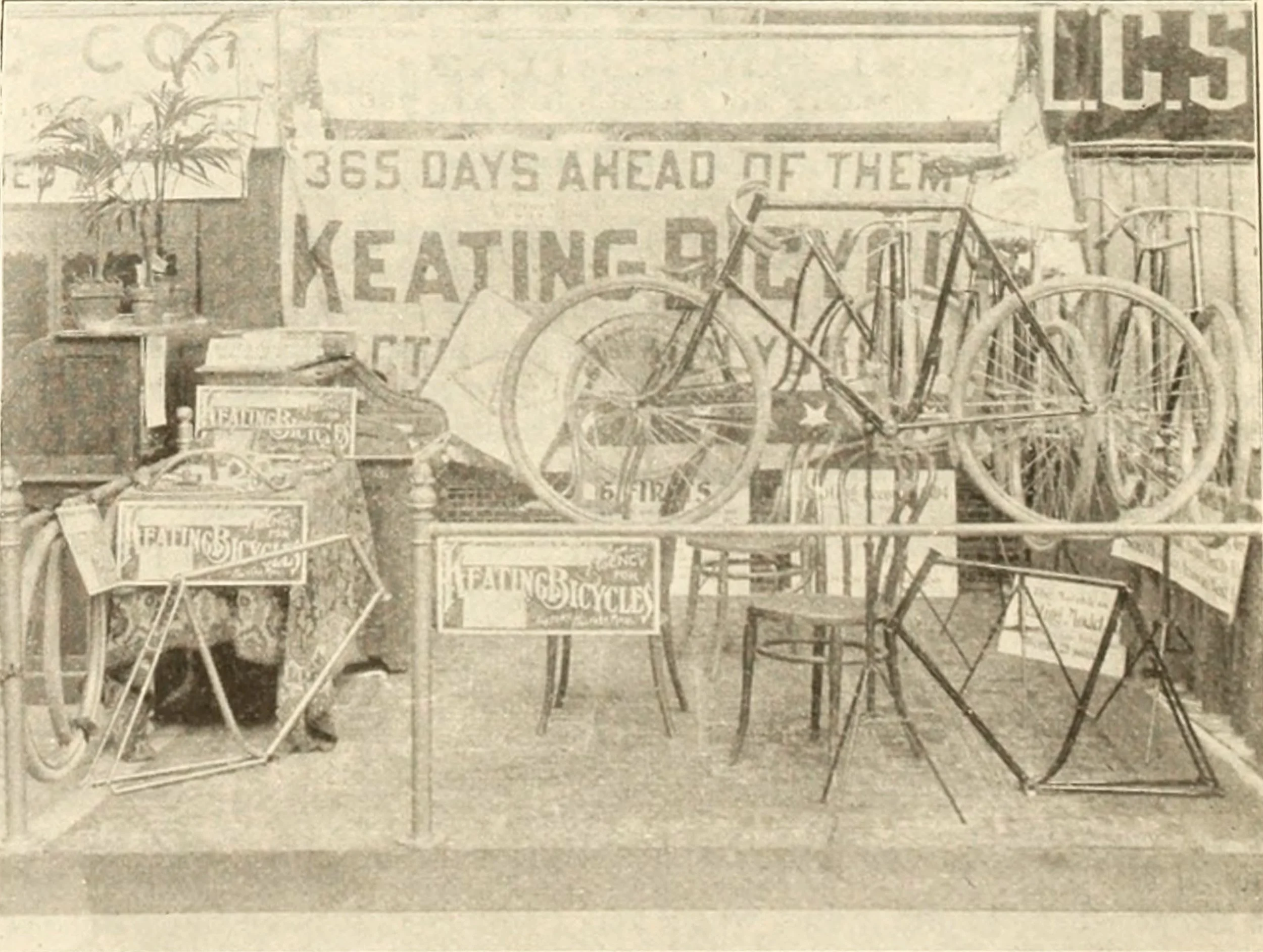 The National Show - 1895