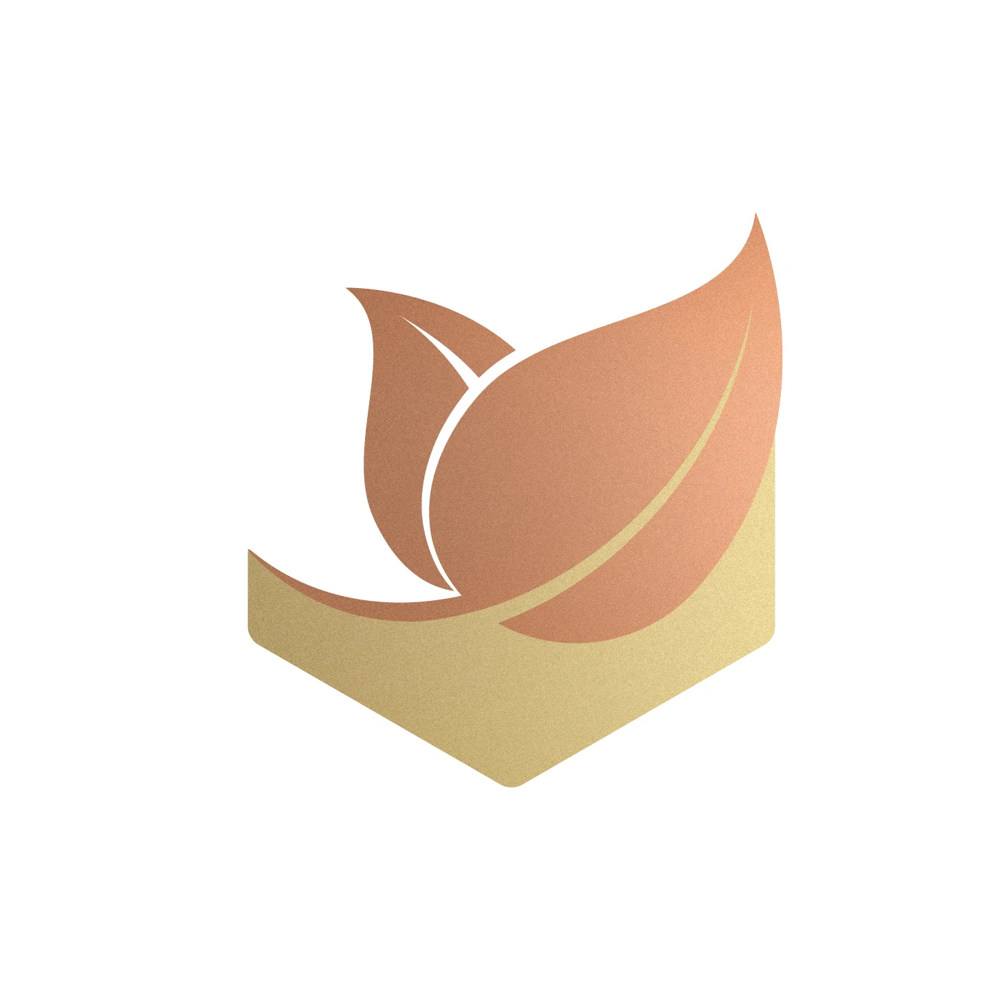 BHF Website Icons-03.jpg