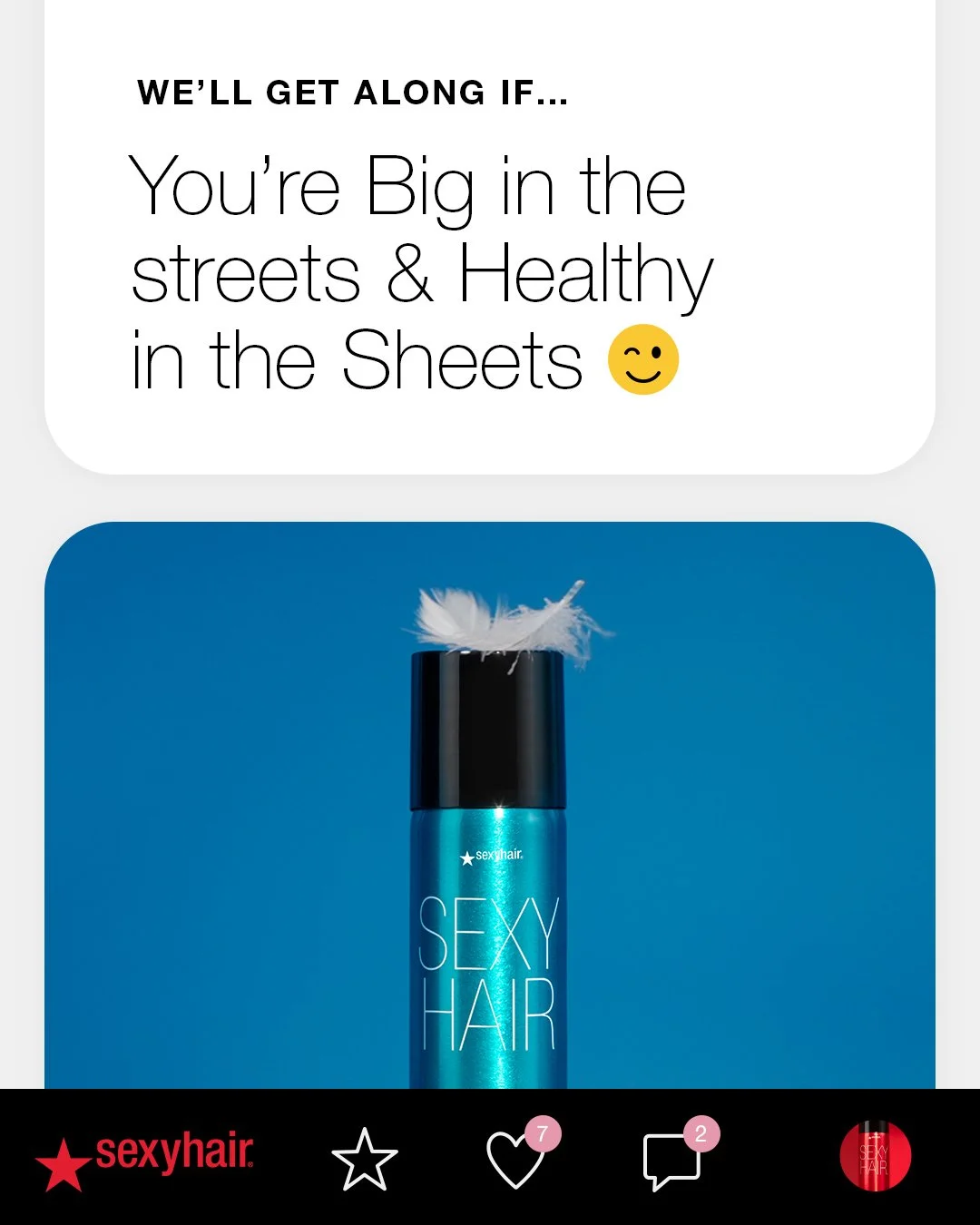 Text and image of a blue hair spray can labeled 'Sexy Hair' with a white feather on top. The text says, 'We'll get along if... You're Big in the streets & Healthy in the Sheets' with a smiling emoji.