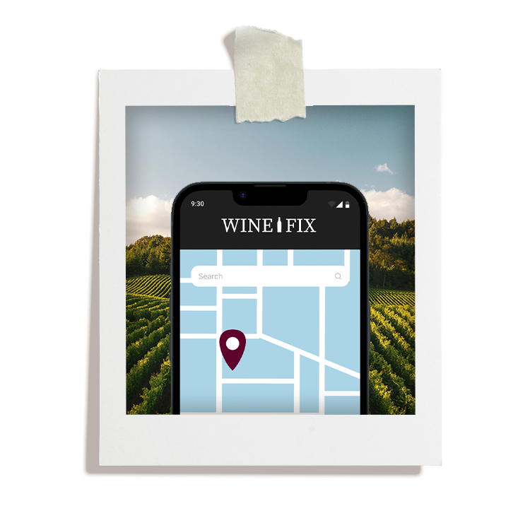 Wine Fix Product Design