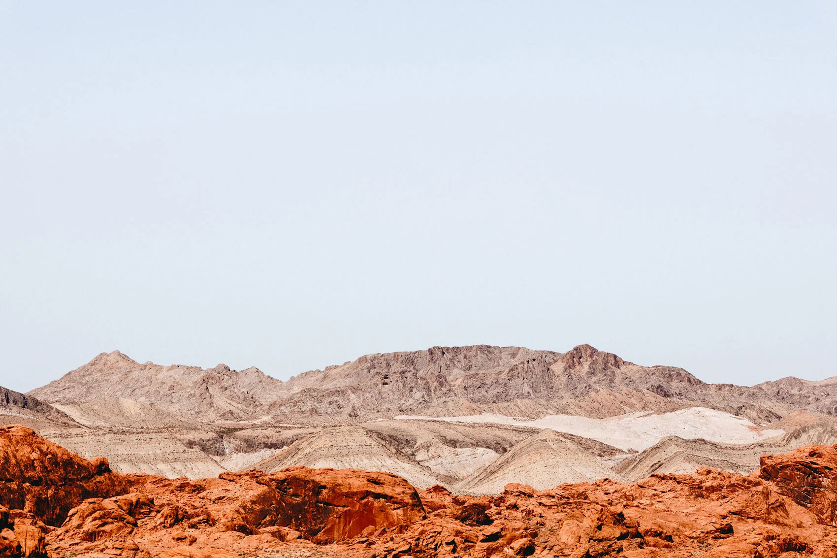 Maegan_Brown_After-Form_1_1700px.jpg