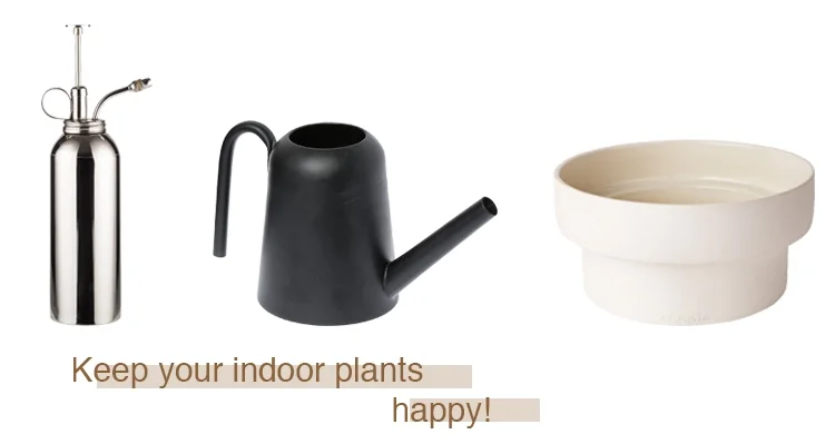 A plant mister perfect for the maiden hair ferns $79, Black watering can $59, White podium planter $39