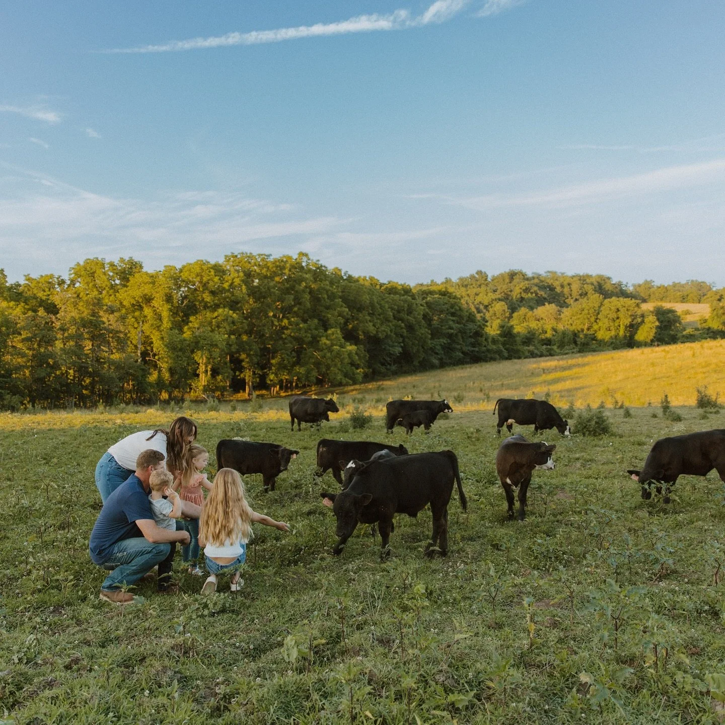One of my favorite family sessions to date &mdash; in their element and on their family land 💛 I love this precious family of five!