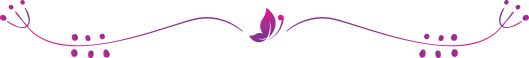 divider-butterfly.png