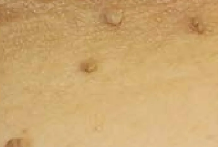Screenshot_20180108-150606.jpg