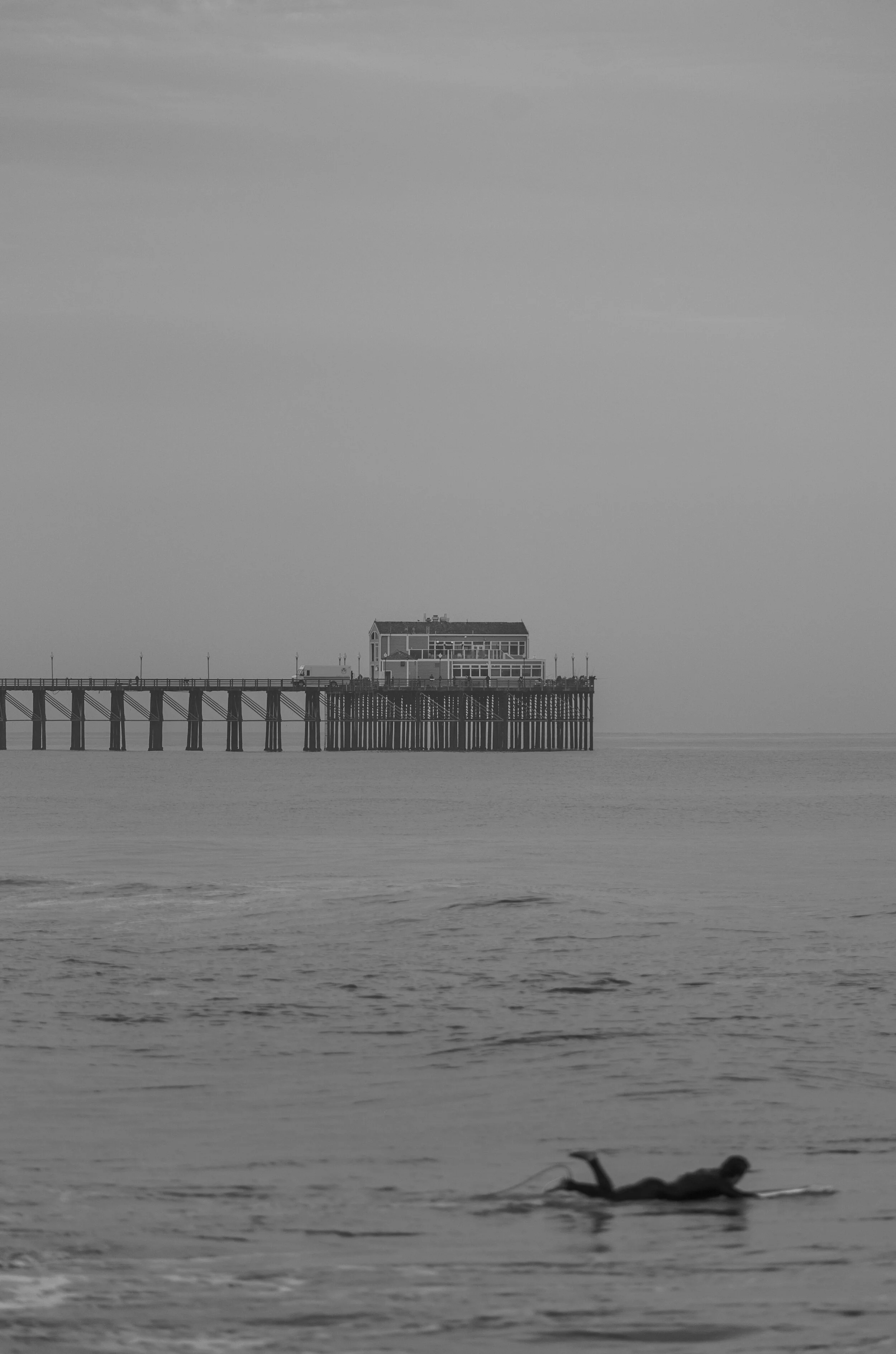 DSC_7805.jpg
