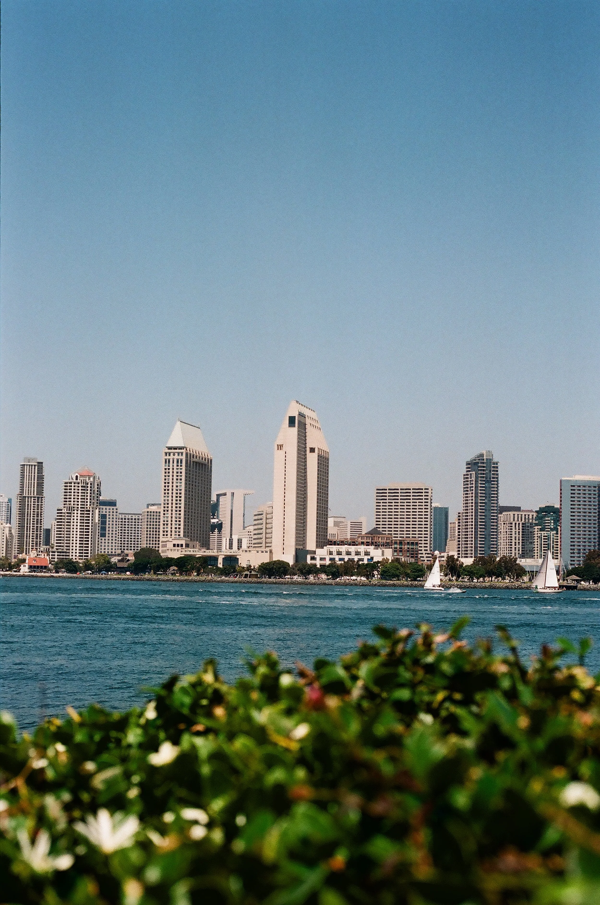 45140019.JPG