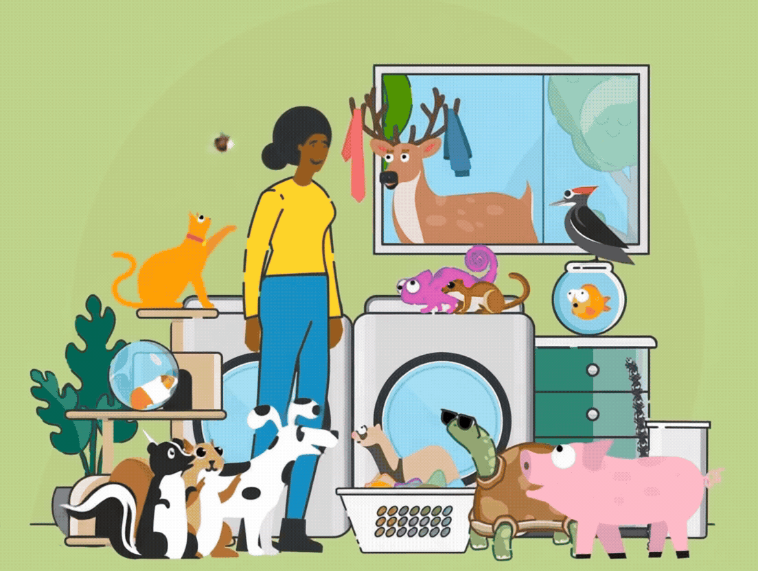 Adobe Express - CE.gif