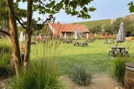 Stolo Vineyards Parr Collective 