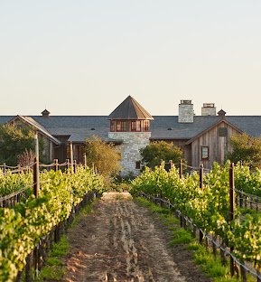 Beckmen Wine Estates Ray Jaurique Duo