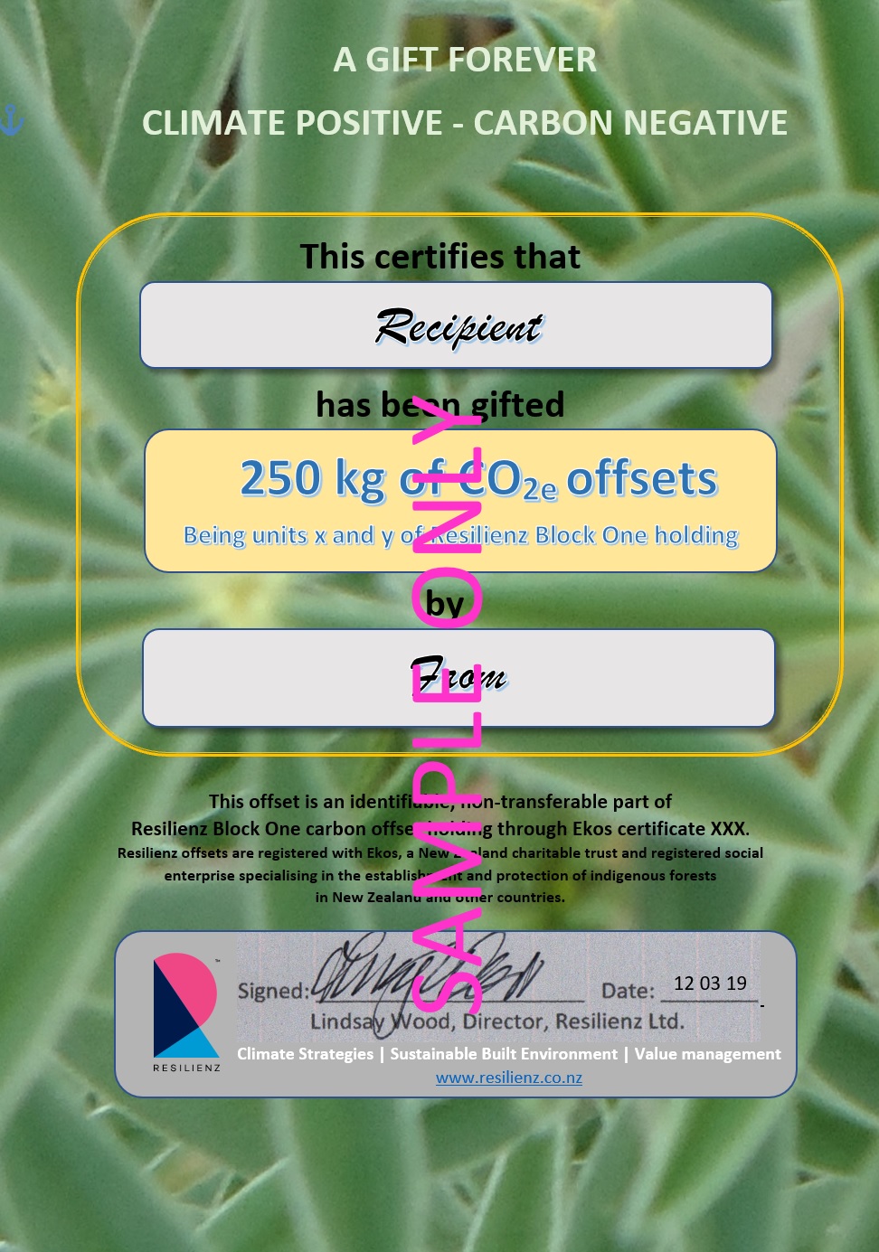 Resilienz Gift Certificate