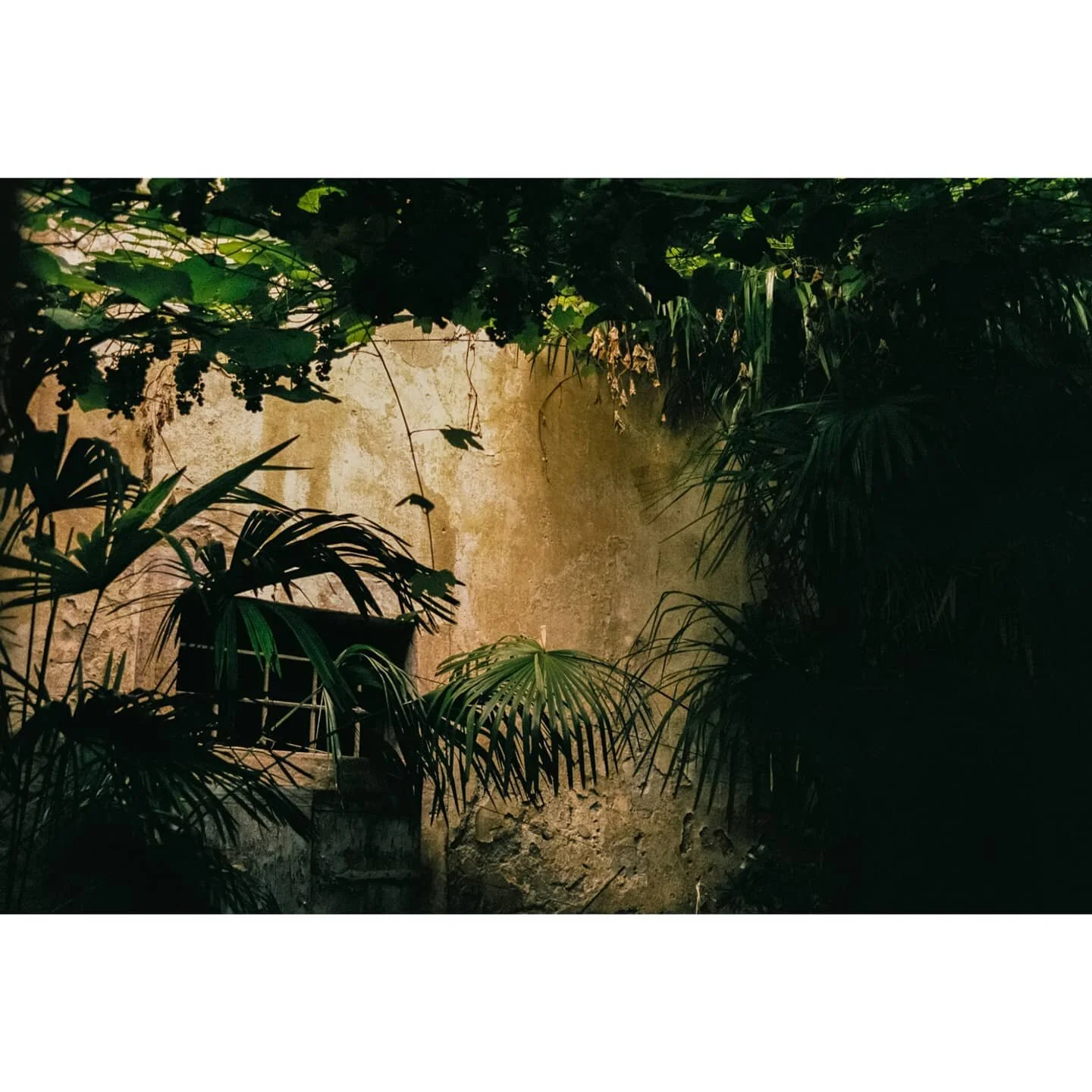Riva del Garda. August, 2020
#rivadelgarda #film #filmphotography #canonae1 #canonfilm #travelphotodiary #visialdiary #summer2020 #italy #35mmfilm  #natureandurban #35mmfilmphotography #senseofplace #photography #photodiary #analogphotography #analo