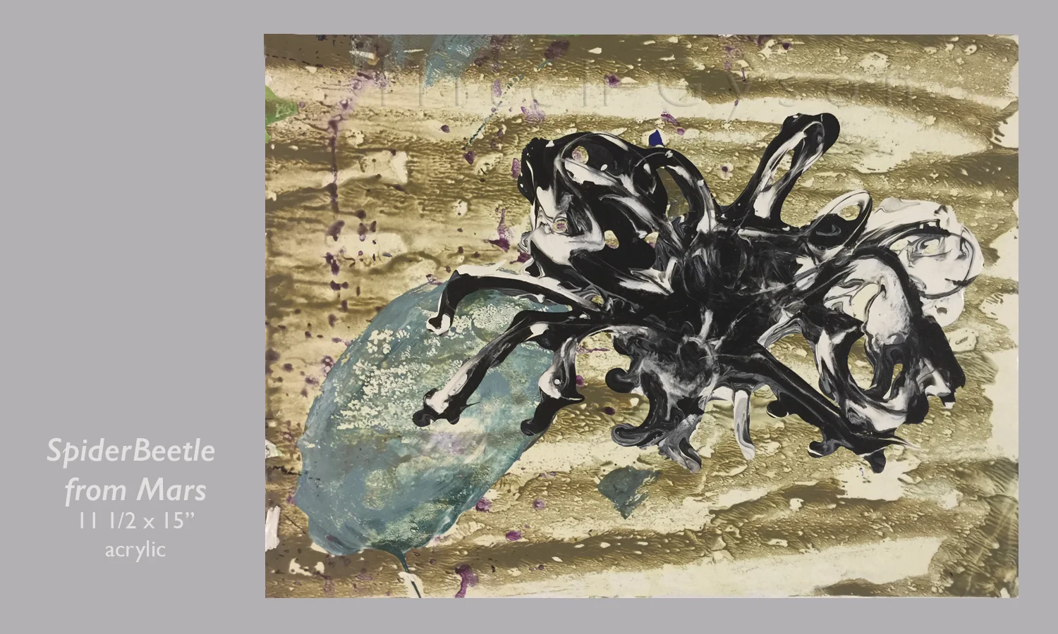 SpiderBeetle From Mars web watermark.jpg