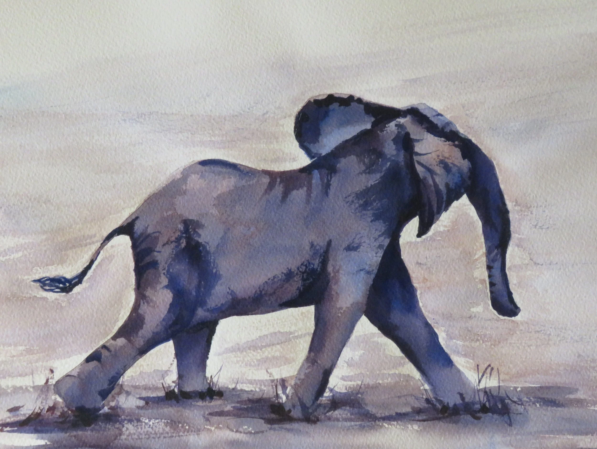 Baby Elephant on the Run 36 x 26cm SOLD
