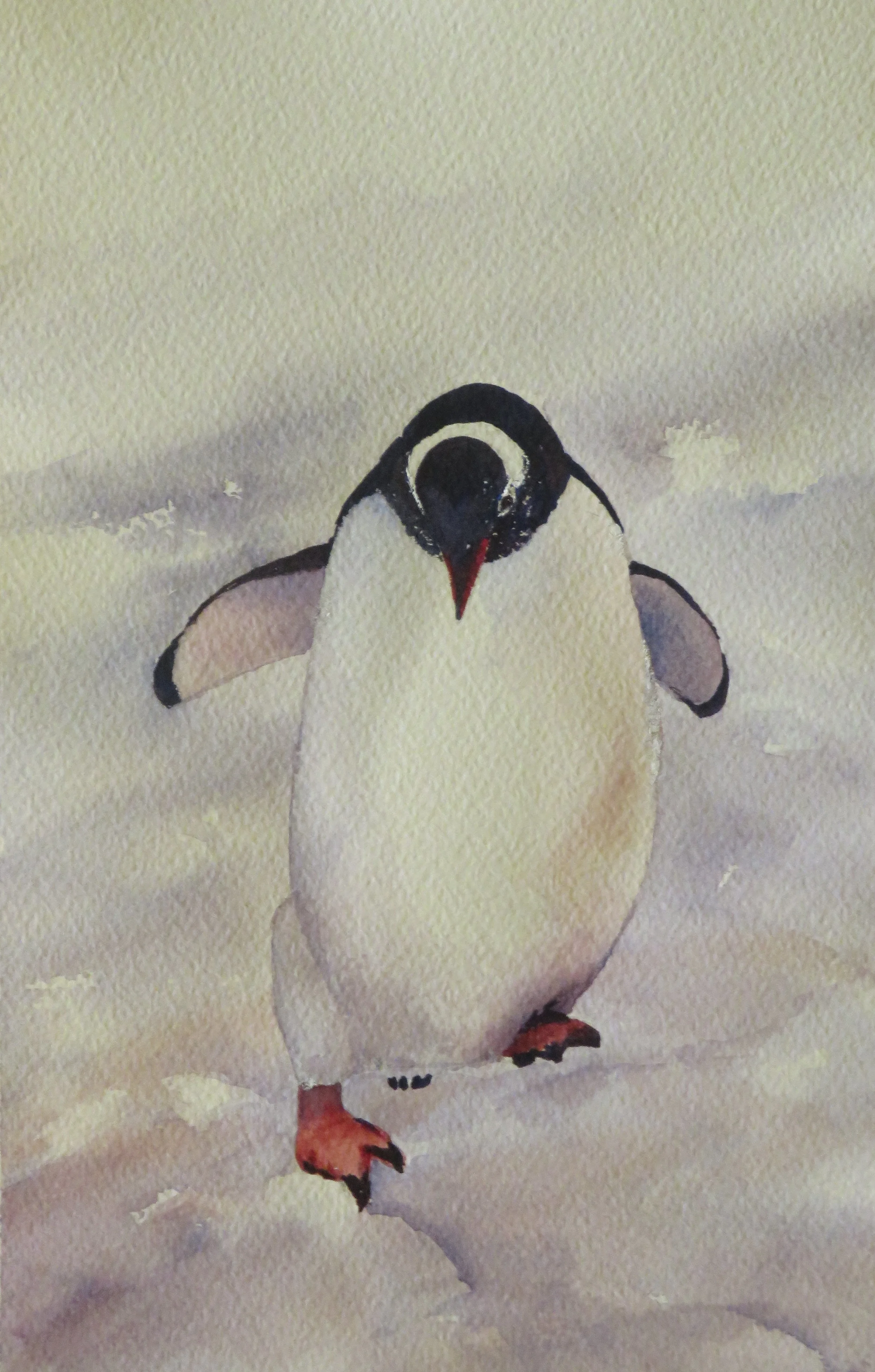Penguin 2 - SOLD