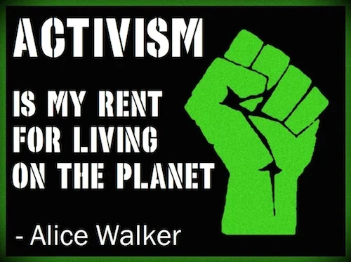 Activism-quote-by-Alice-Walker.jpg