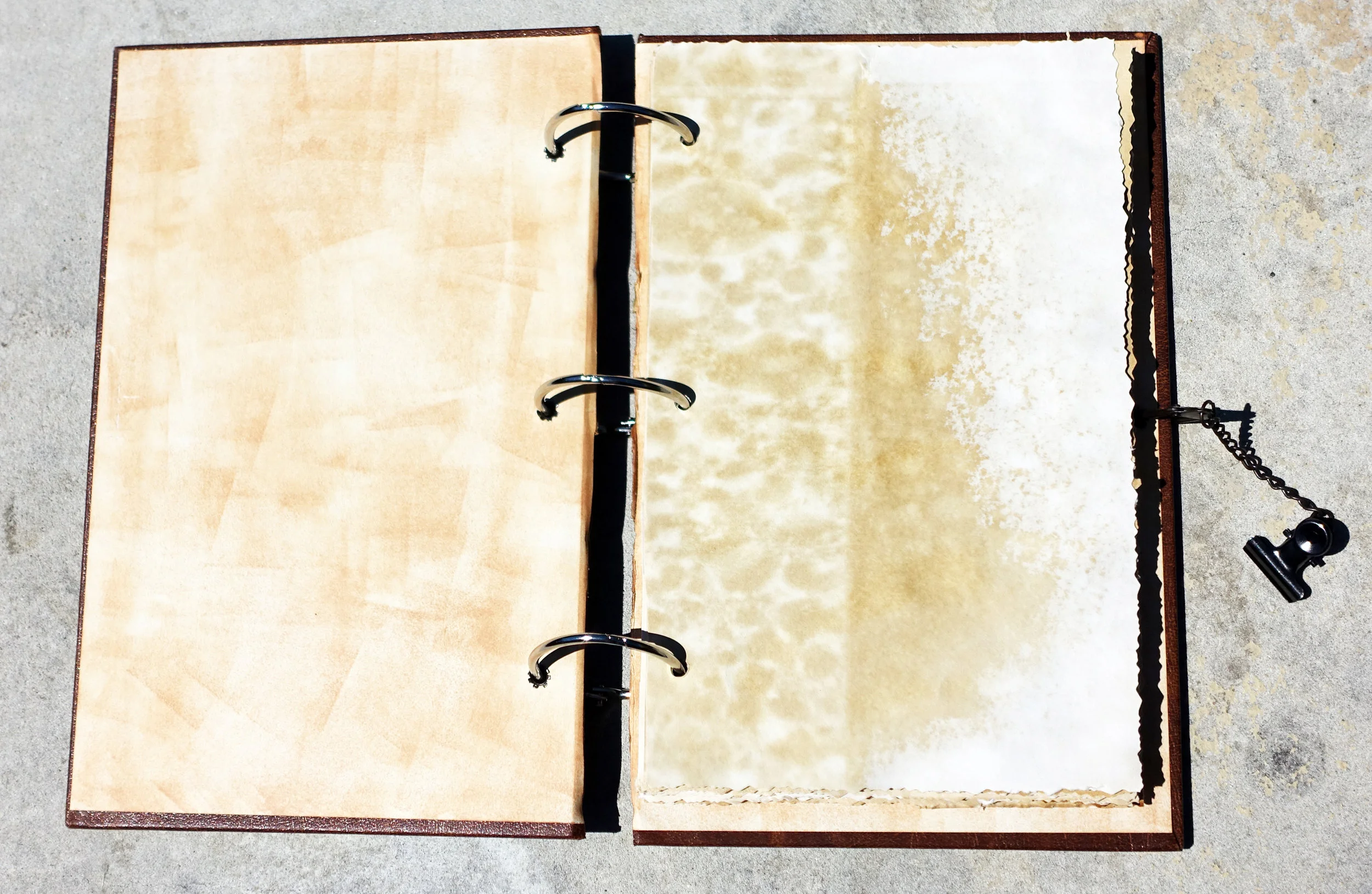 Blank Journal (2).JPG