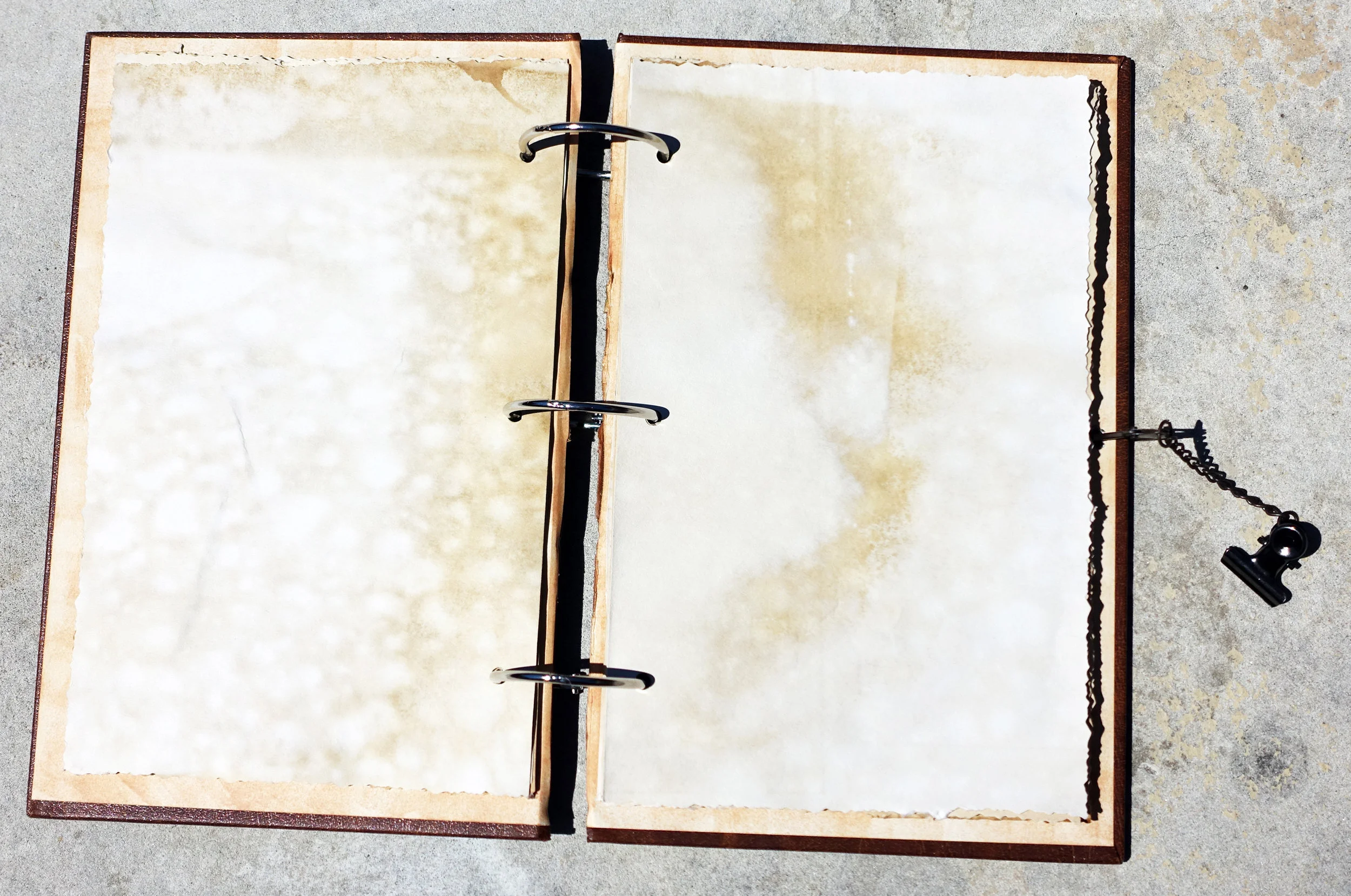 Blank Journal (3).JPG