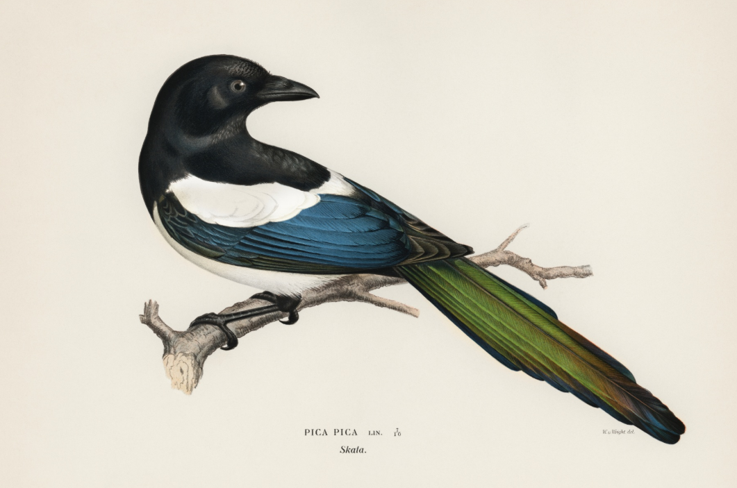 Time to get back into it!