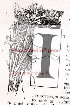 Fancy letter i_w.jpg