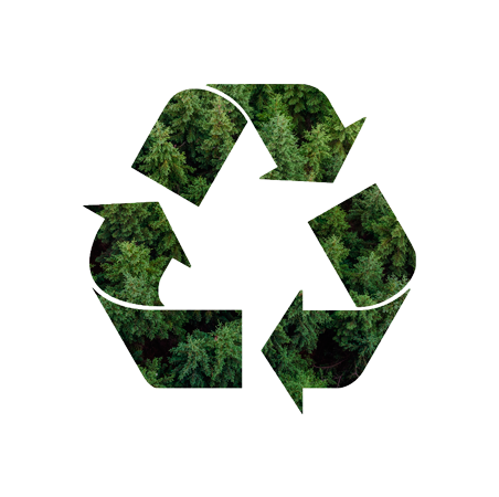 Tree-Removal.png?format=1000w