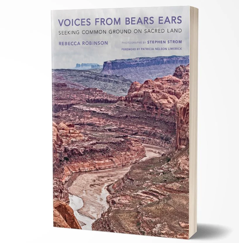 Voices book.jpg
