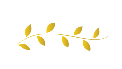 element.png