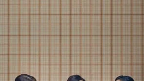 By the doctor_ATO LOTION