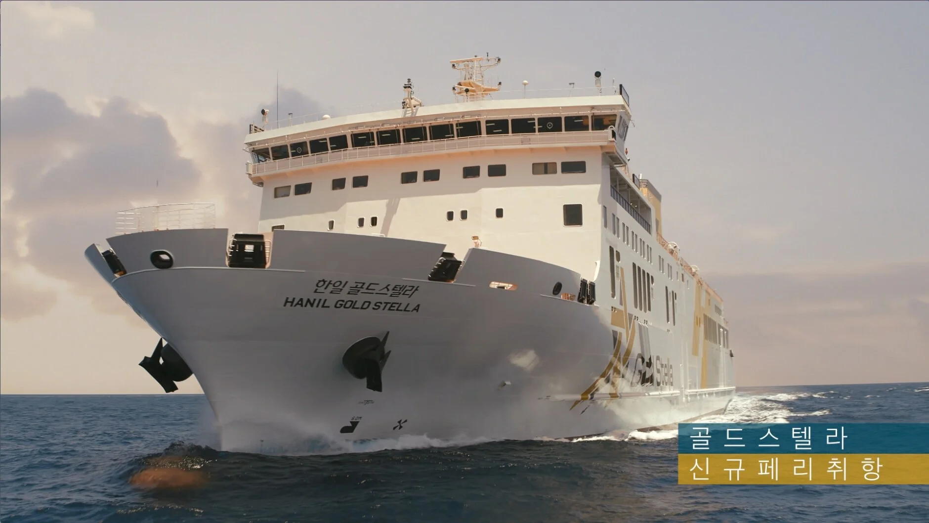 [한일고속페리] 골드스텔라 신규 취항!
