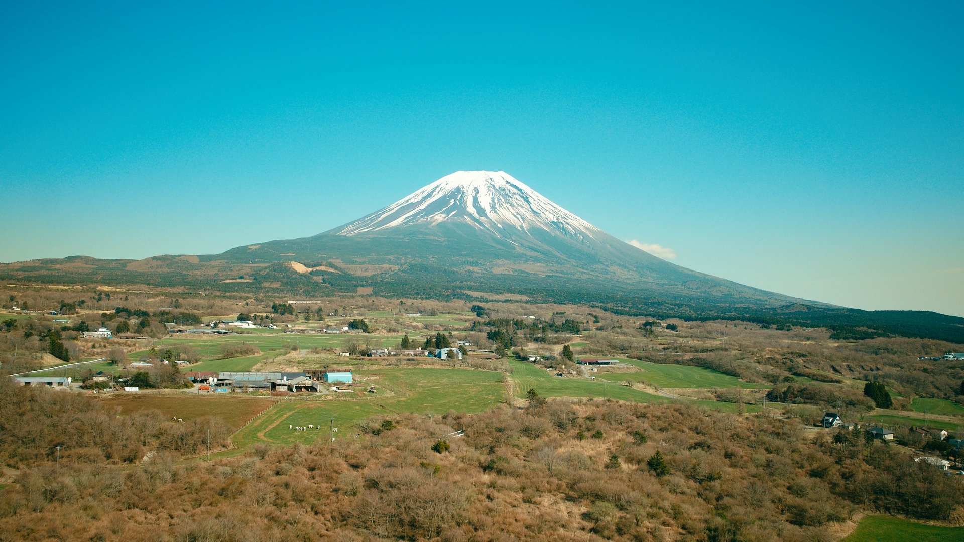 0412 HMJ KONA_1.121.1.jpg