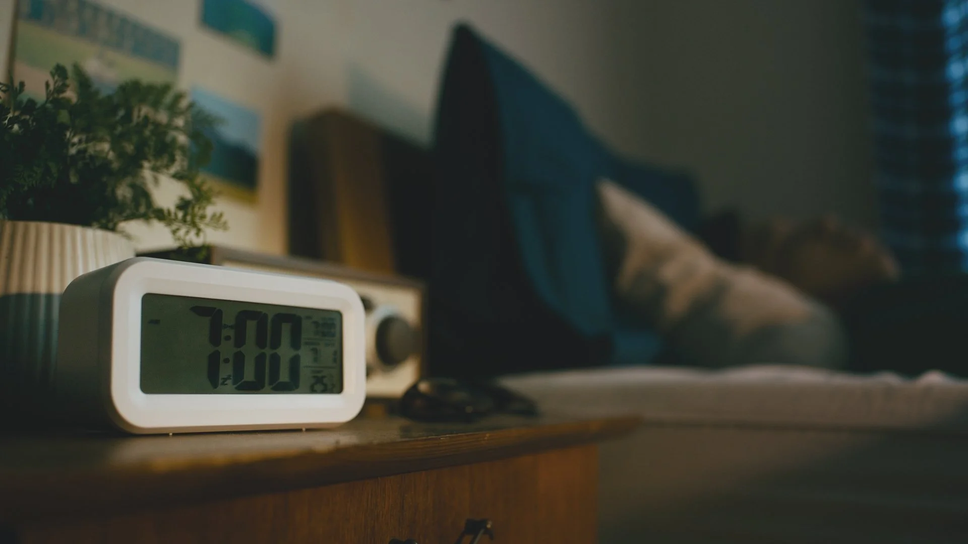 1011 BALDAL_1.1.1.jpg