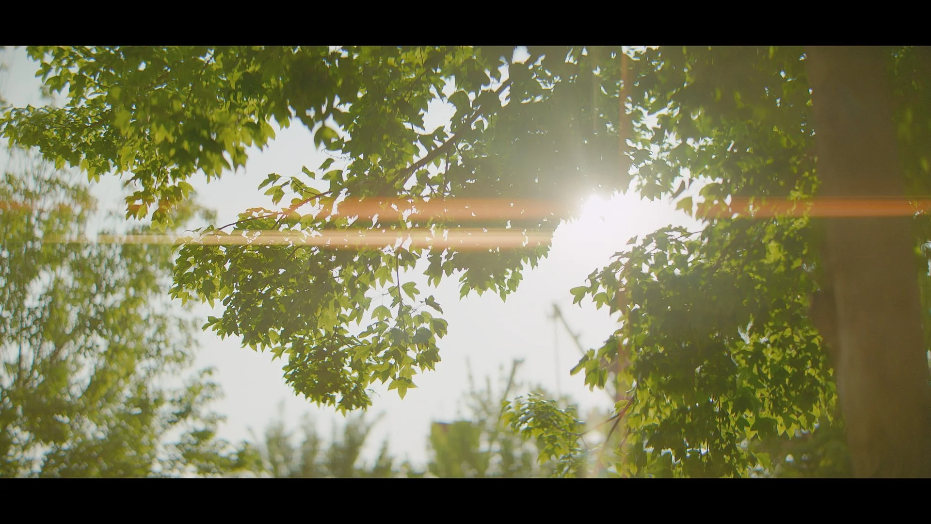 0624 HYUNDAI SHOP_01_1.1.1.jpg