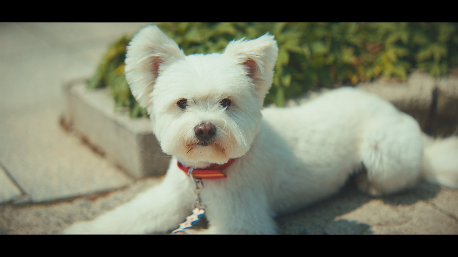 0624 HYUNDAI SHOP_01_1.18.1.jpg