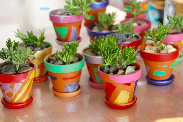 painted succulent pot workshop