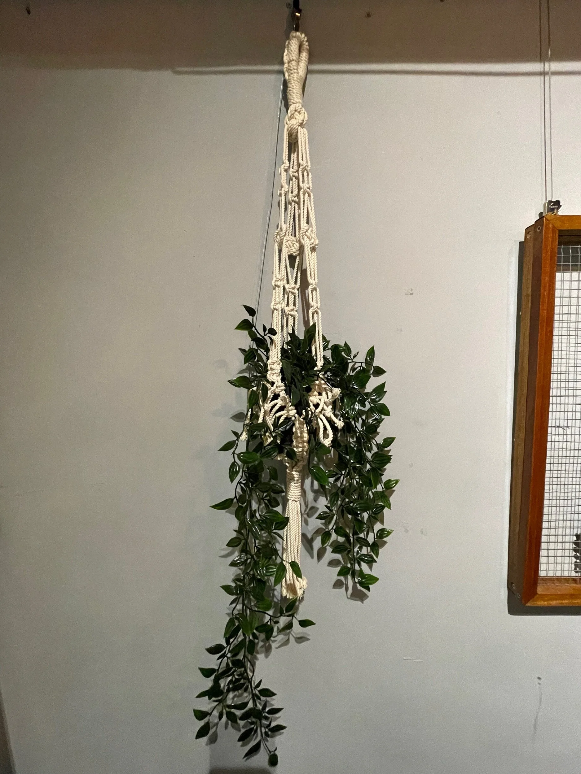 3DEDC52B-EADE-4071-8803-21DC0826338A