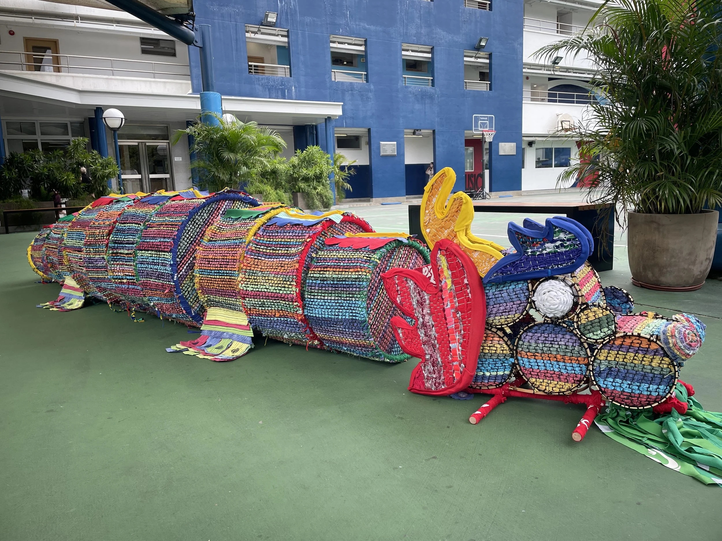 Photo 5-6-2025, 1 50 50 PM.jpg