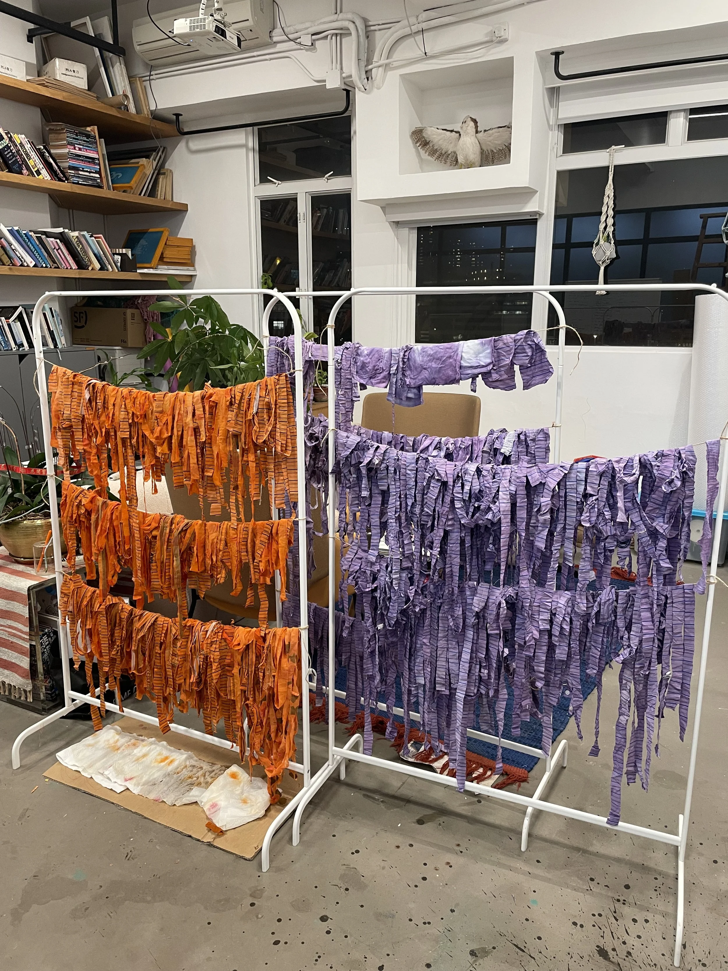 Photo 2-5-2025, 7 20 43 PM.jpg