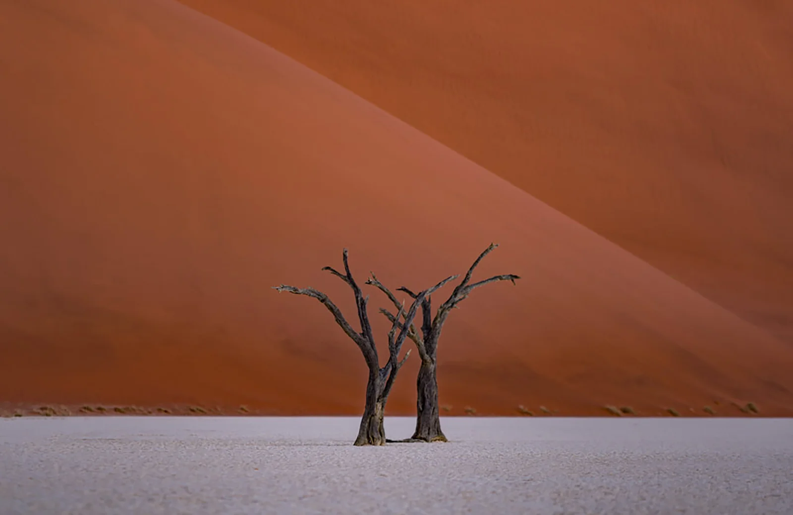 Zeiss Infinity Tour - Namibia 
