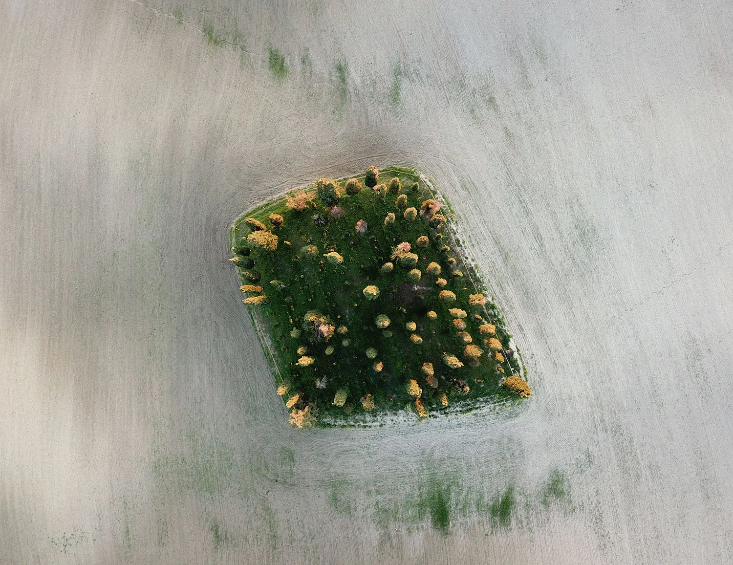 Tuscany drone view