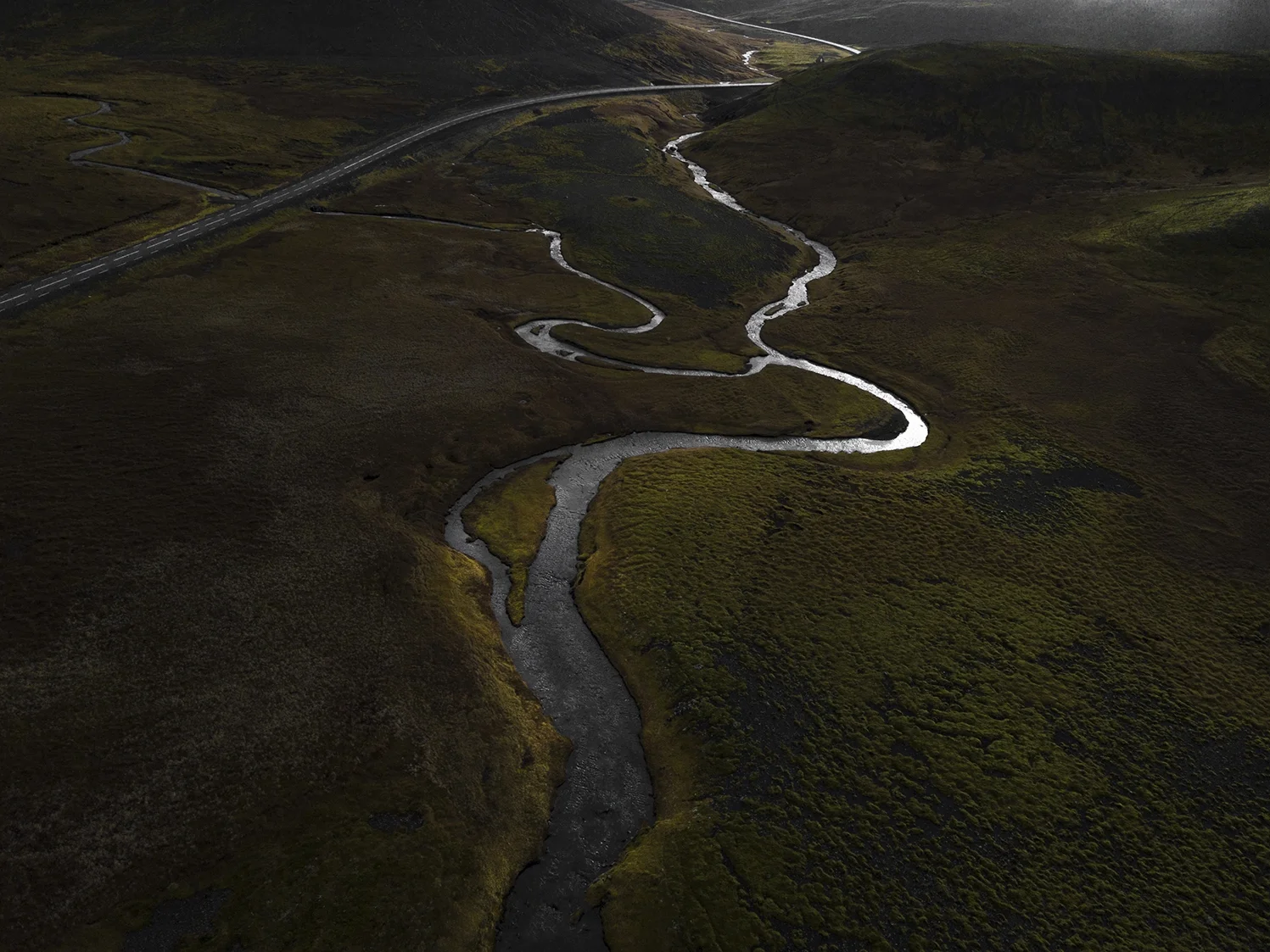 The curve