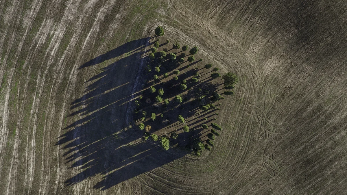 DJI_0120.jpg